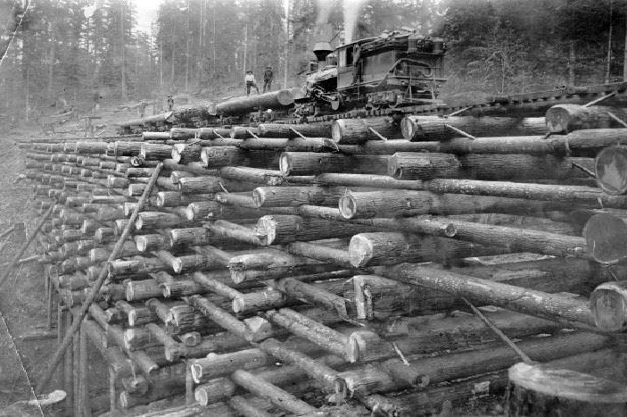 پل "راه آهن" با سازه ای چوبی در ایالات متحده آمریکا