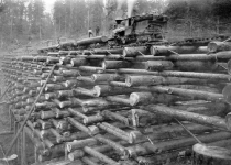 پل "راه آهن" با سازه ای چوبی در ایالات متحده آمریکا