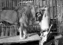 نخستین قربانی باغ وحش ایران