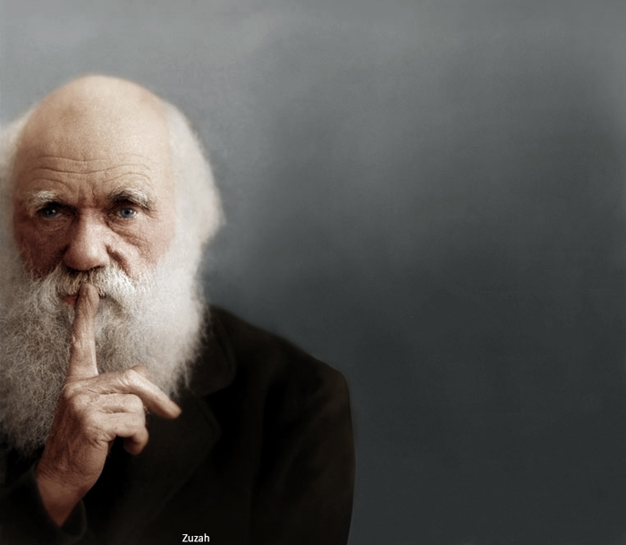 پرتره استودیویی از چارلز داروین. تاریخ عکس نامعلوم