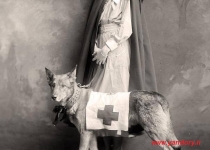 عکس/پرستار در جنگ جهانی اول