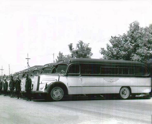 عکس:اولین اتوبوس‌های شرکت واحد