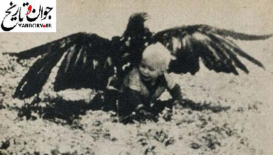 شکار پسر بچه ای 3 ساله توسط عقاب! /عکس