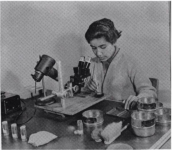 دختر افعان در حال کار در آزمایشگاه کابل