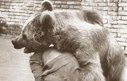 تصاویر/ معرکه‌گیری با خرس در تهران قدیم