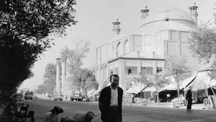 مردی باگوسفندانش در خیابانهای طهران