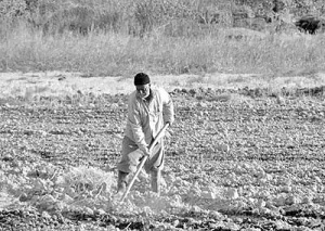 نتایج اصلاحات ارضی برای کشاورزان