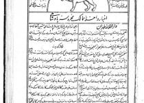 جراید/ صفحه اول اولین روزنامه امیرکبیر