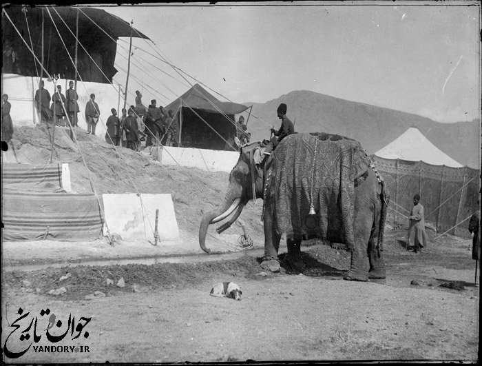 فیل بانی در دوره قاجاریه