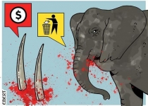 کشتار بی رویه حیوانات توسط شکارچیان