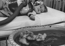عکس/ شیوه درمانی در سال 1956